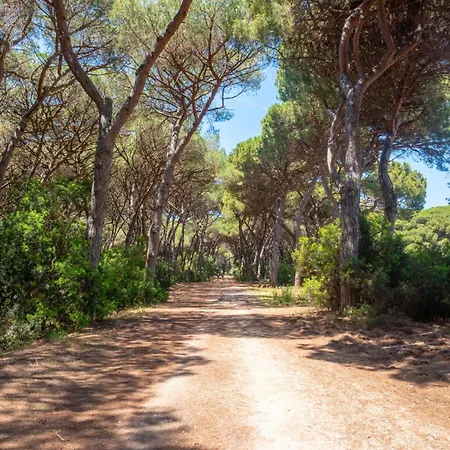 Vignarola - Happy Holiday home Orbetello