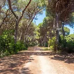 Vignarola - Happy Ferienhaus Orbetello